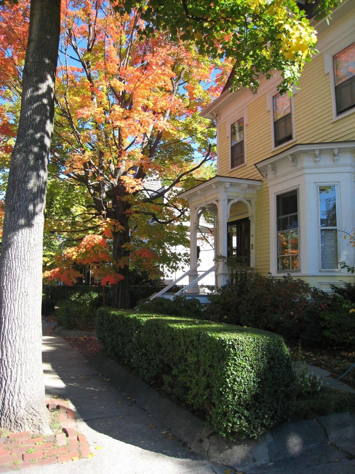 Hotel Parkside On Ellery Cambridge Exterior foto